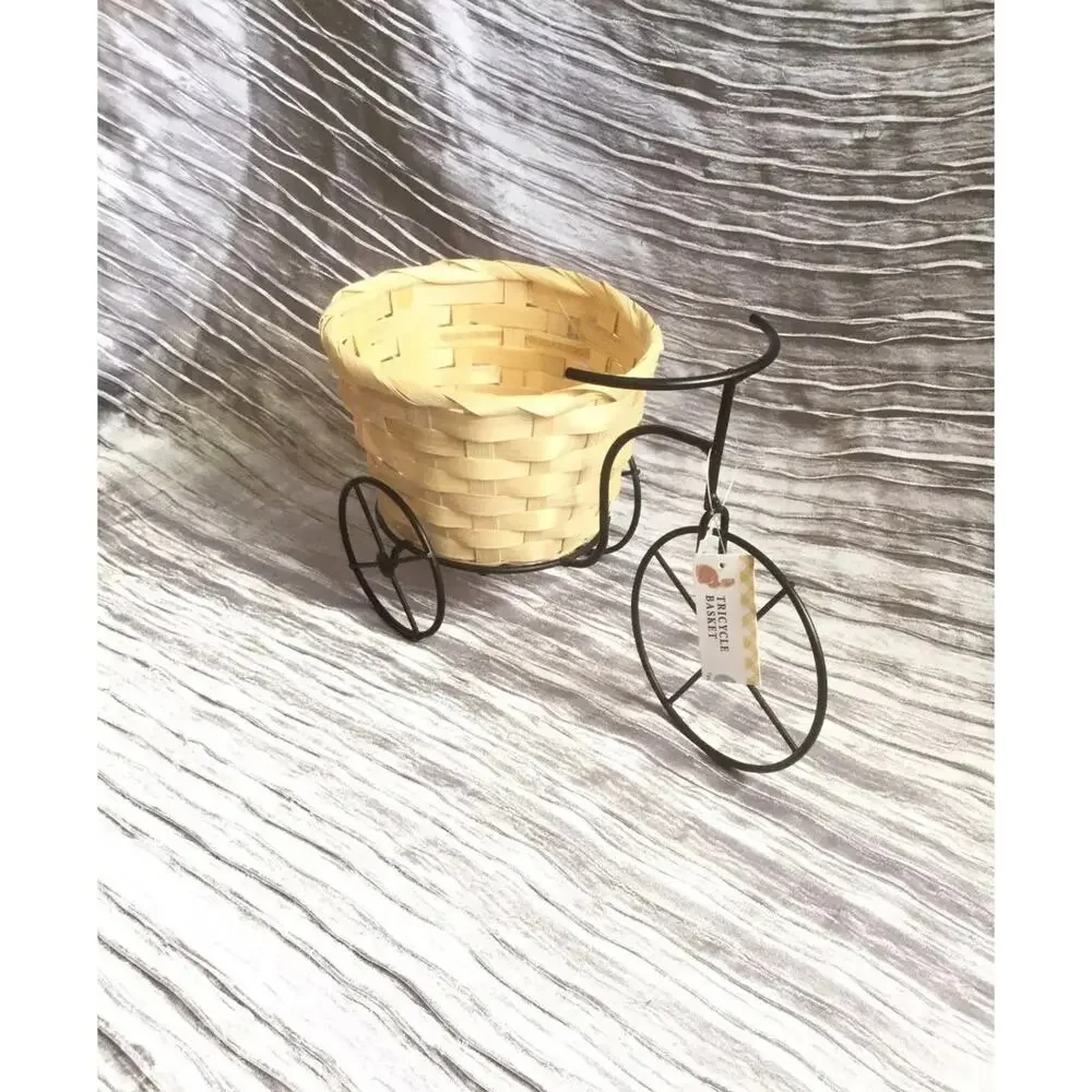 New With Tag Tricycle Basket